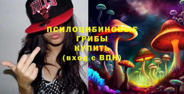 герыч Верхний Тагил