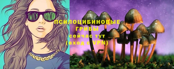герыч Верхний Тагил